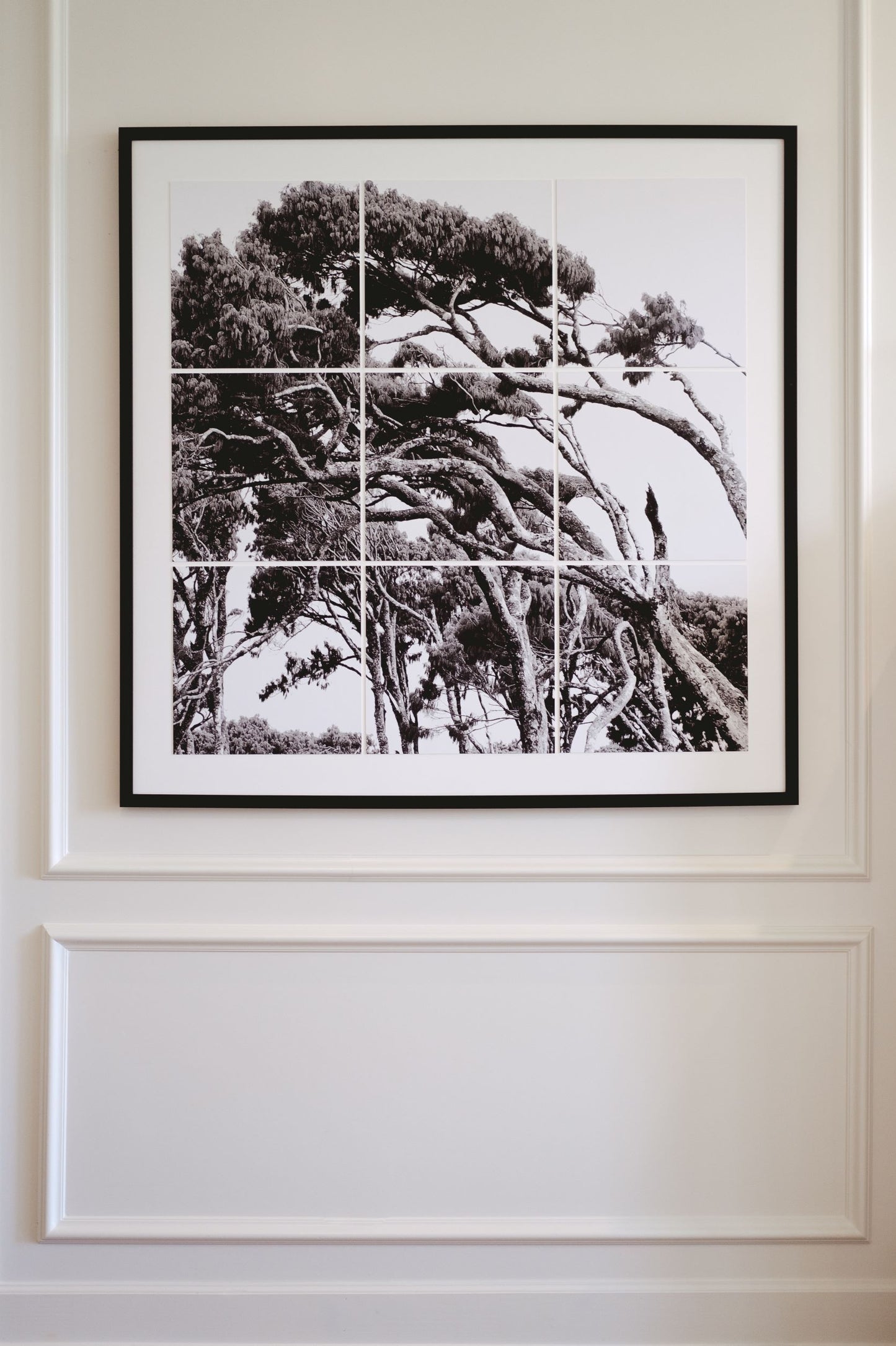 BRIAN MCCROSKEY | Horizontal Trees