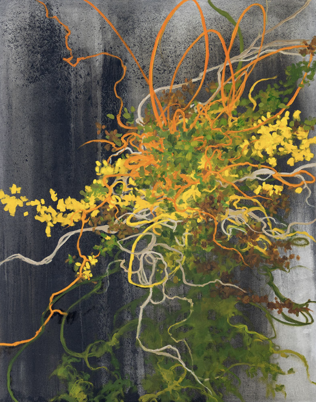TANIA DIBBS | Live Tangle