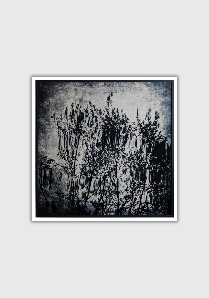 MICHAEL REGNIER | Reflections #3