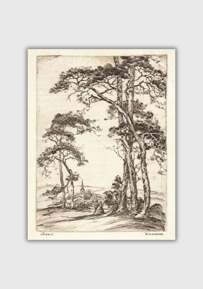 STUDIO ARCHIVES COLLECTION | Archival Ink Ensemble, 5th of 9: Trees