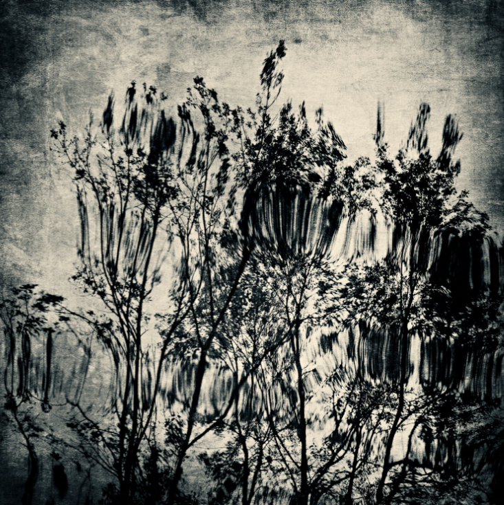 MICHAEL REGNIER | Reflections #3