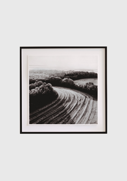 KIM TAGGART |  The Cut Above